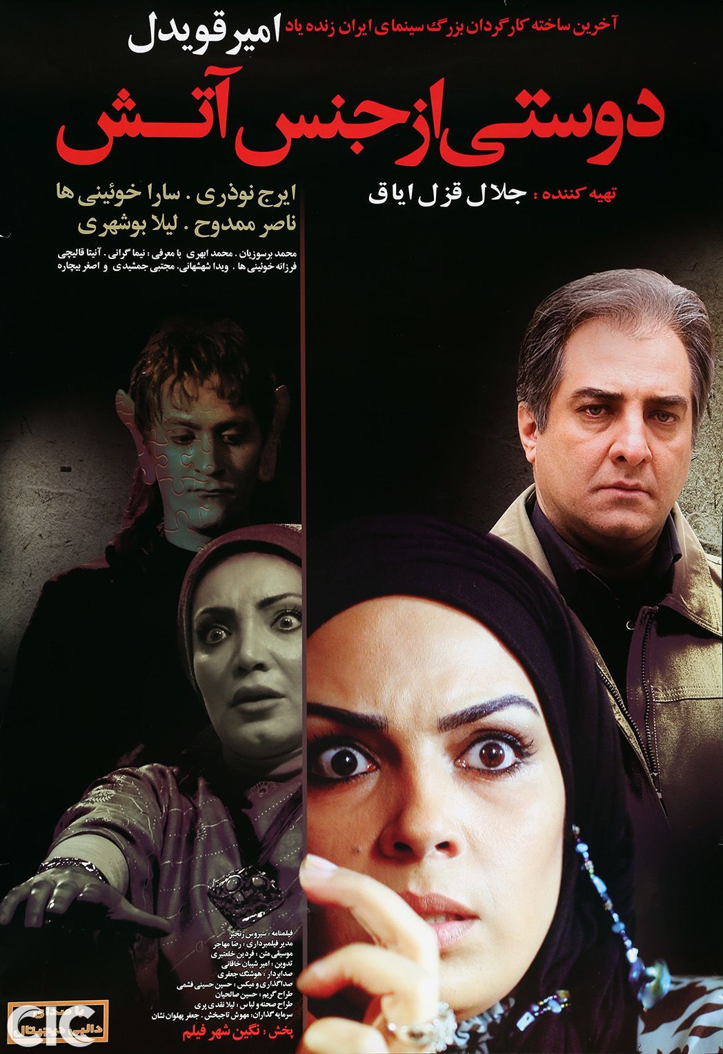 A Friend Made of Fire